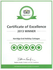 Tripadvisor certificate of excellence 2012