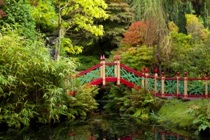 Bridge over the pool in China in autumn at Biddulph Grange Garden, Staffordshire.