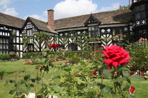 Summer view of the garden in full bloom with the west elevation of Gawsworth Old Hall in the background. Dating from the 15th century, the Tudor style black and white timbered framed historic manor house is Grade I listed. If required, it may be possible to arrange property release for this image.